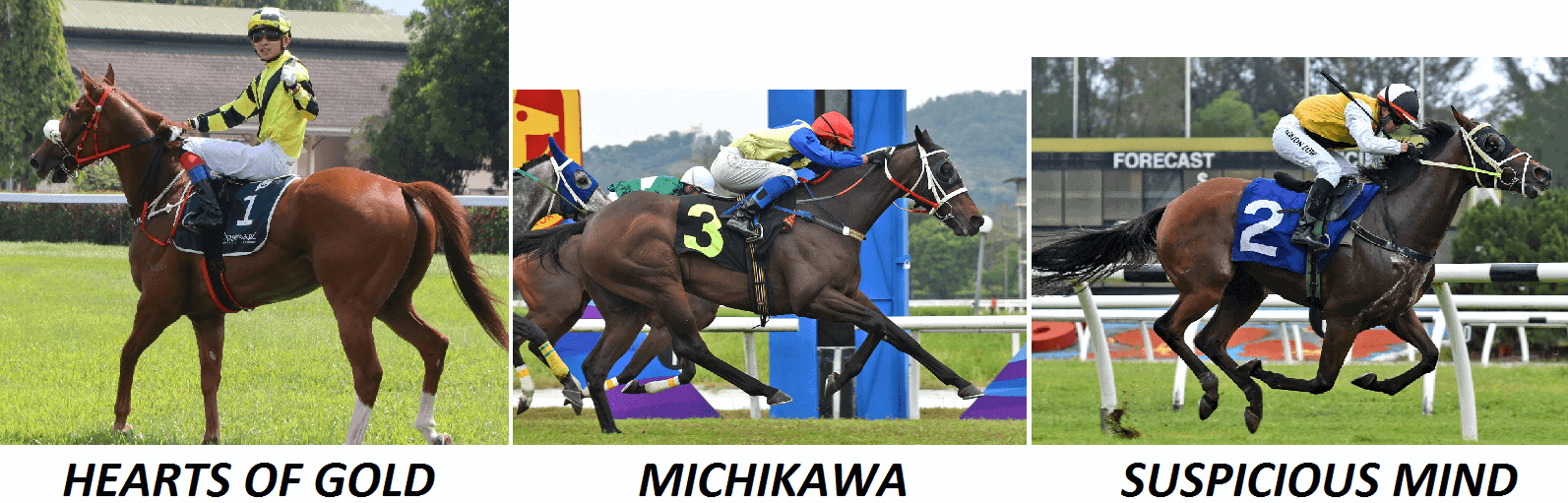 Perak Race Preview Sun 17 Dec 6 HOGMSM