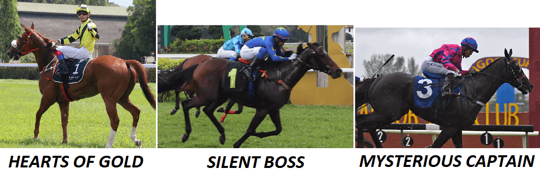 Charity Cup Preview For Sunday 6 HOGSBMC