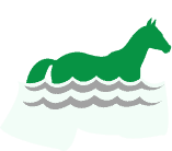 Our Business 7 equine swimming pool