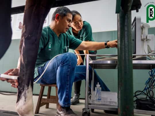 About Us 2 Equine Medical Care