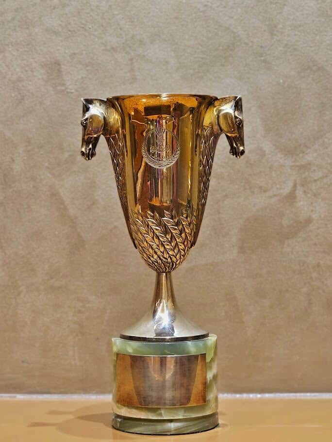 Features Races 1 Gold Vase