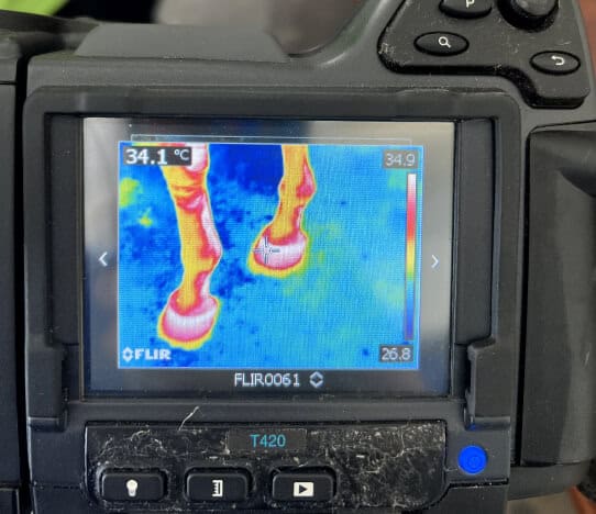 Facilities and Services 4 THERMOCAM