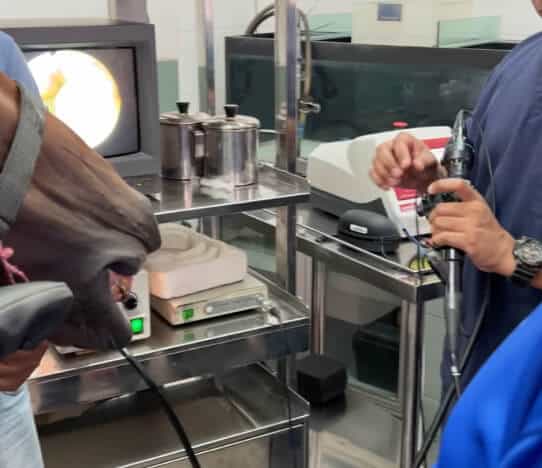 Facilities and Services 6 endoscopy and laser